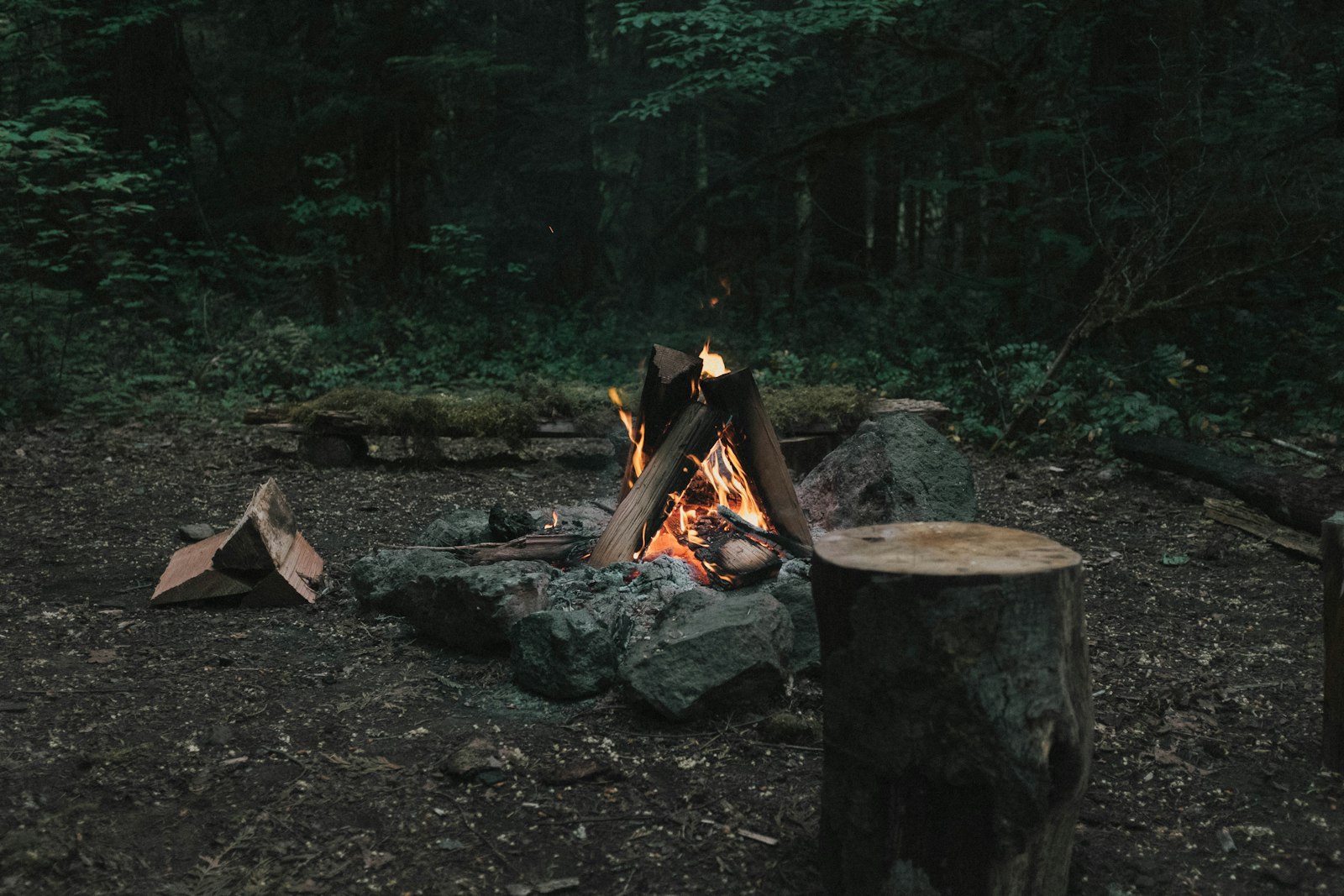 Best Emergency Shelter, Ranked