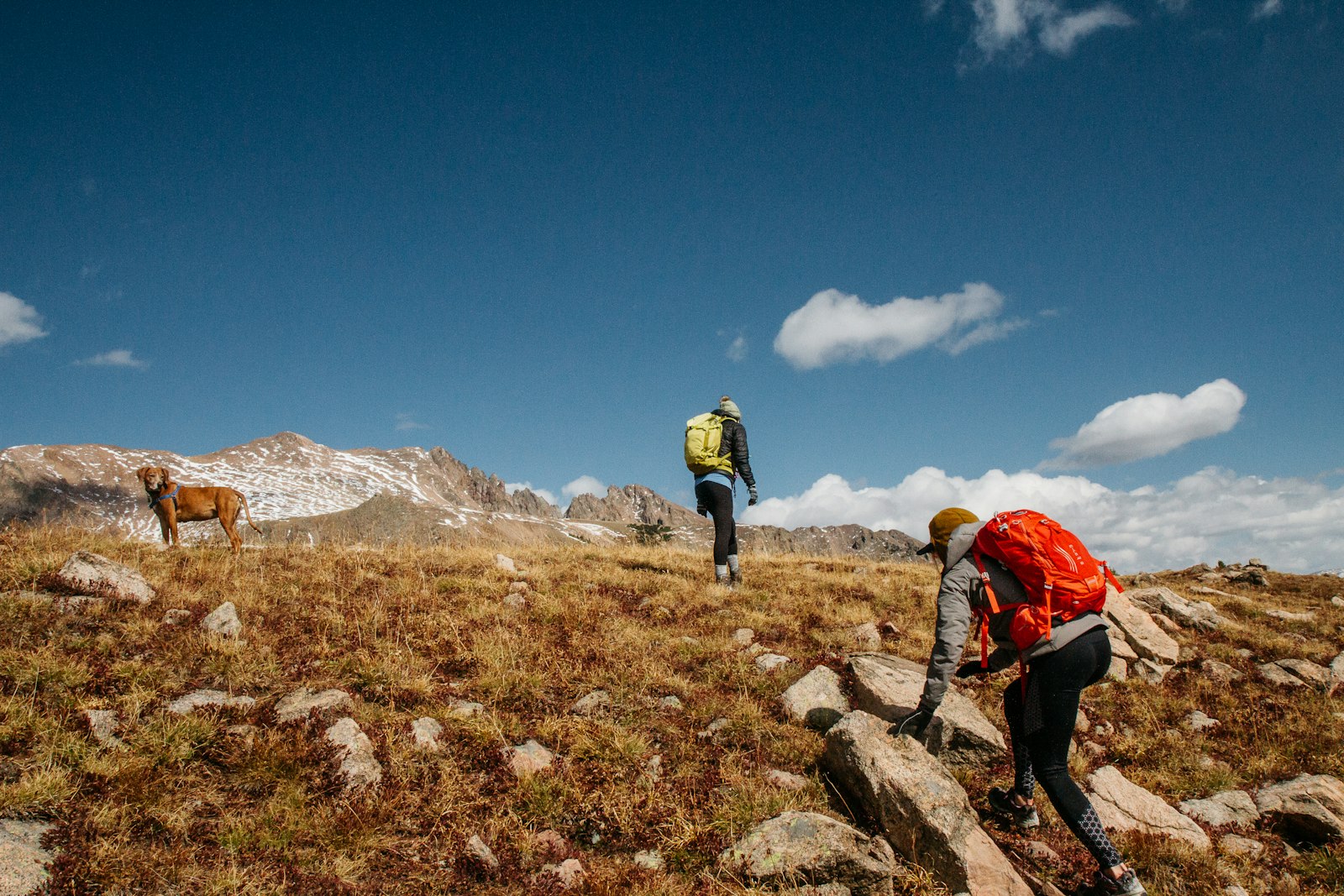 Best Off-Grid Refrigeration, Ranked