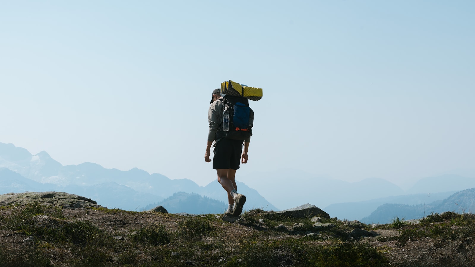 Best Off-Grid Refrigeration, Ranked