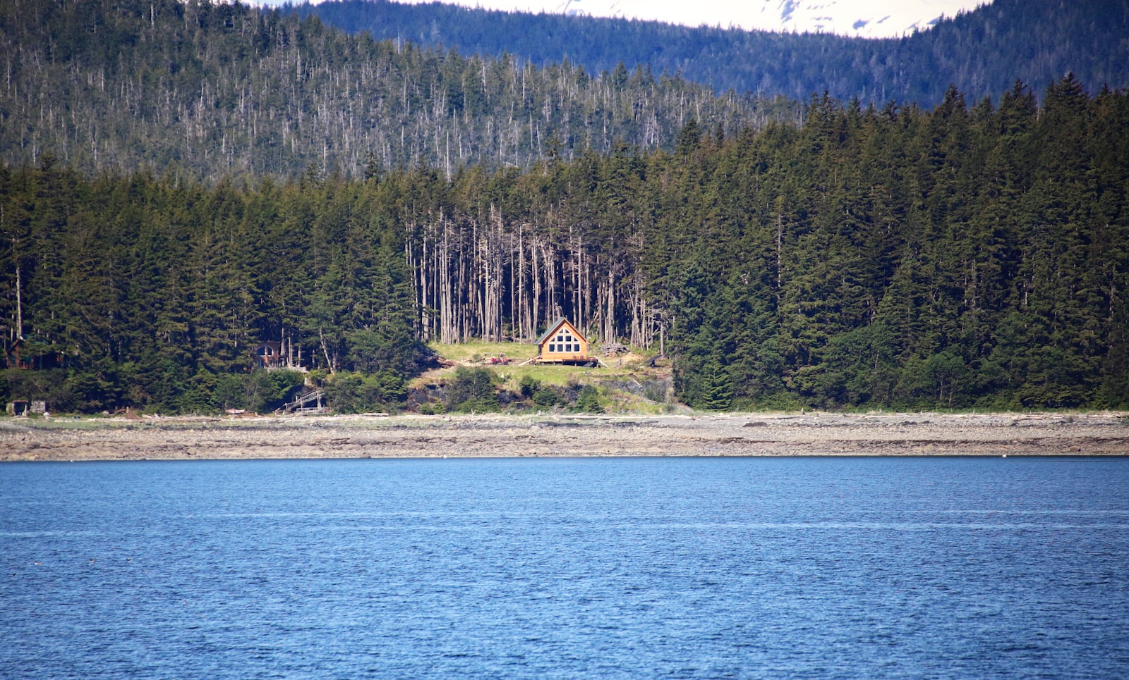 Emergency Shelter: A BuyerÃ¢â‚¬â„¢s Guide