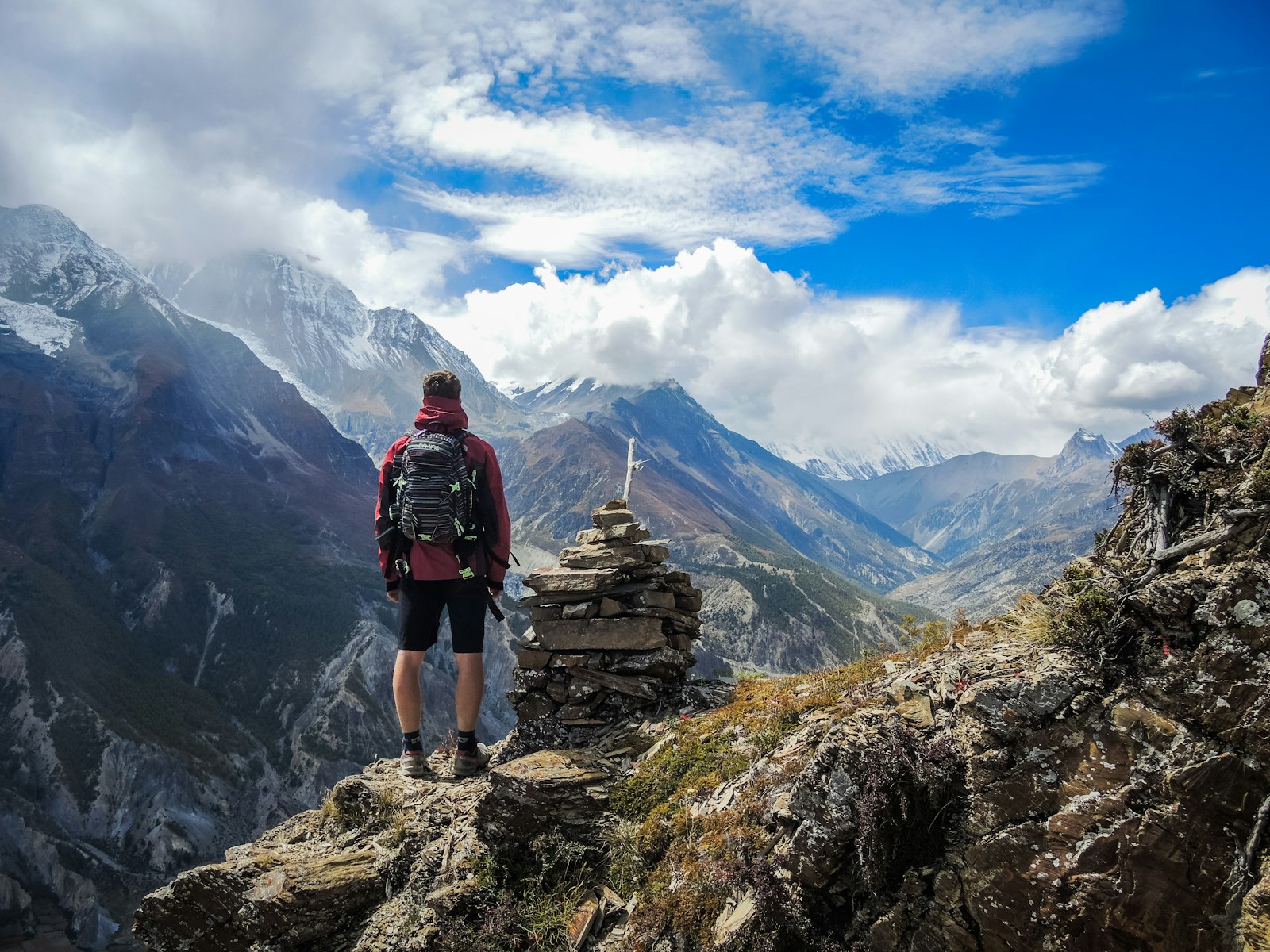 Off-Grid Refrigeration: A Buyer’s Guide