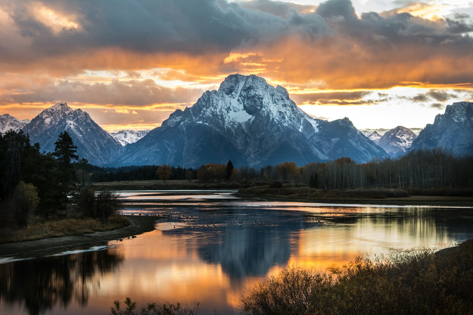 Water Purification Tablets: A Buyer’s Guide